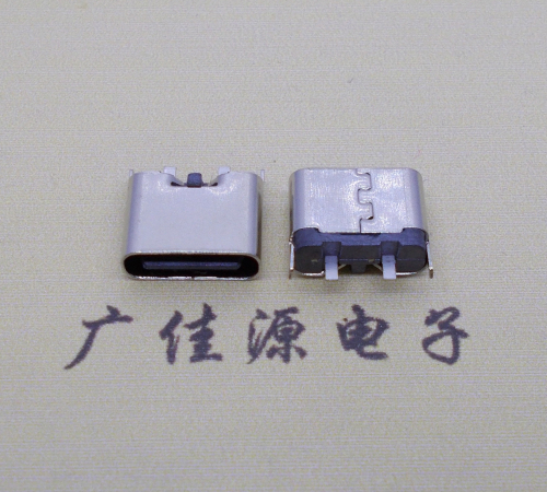 惠州铆合式type c2p母座两脚插板尾部带卡扣