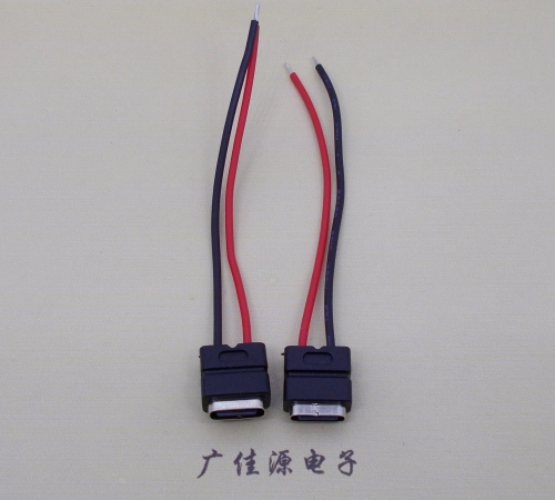 惠州type c2p防水母座焊线式带线注塑成型带接线端子/不带接线端子充电连接器