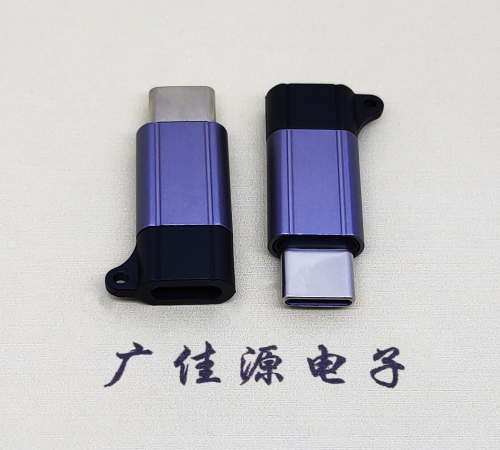 惠州Type-C母转Type-C公 USB3.1 PD100W快冲接口